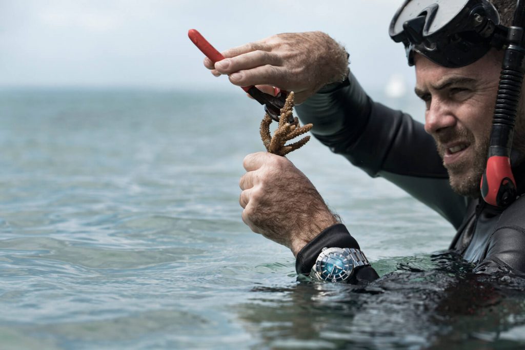 Oris Great Barrier Reef Limited Edition III imagen