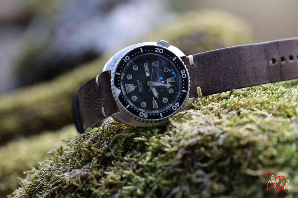 6309-7040 debajo del reloj