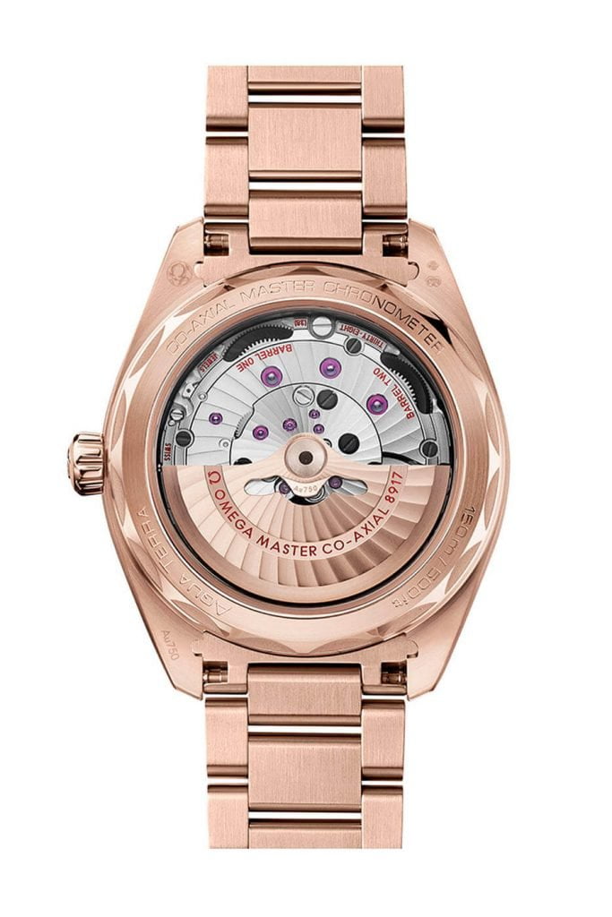 Omega Aqua Terra 2021 38 y 41 mm hombre back 2