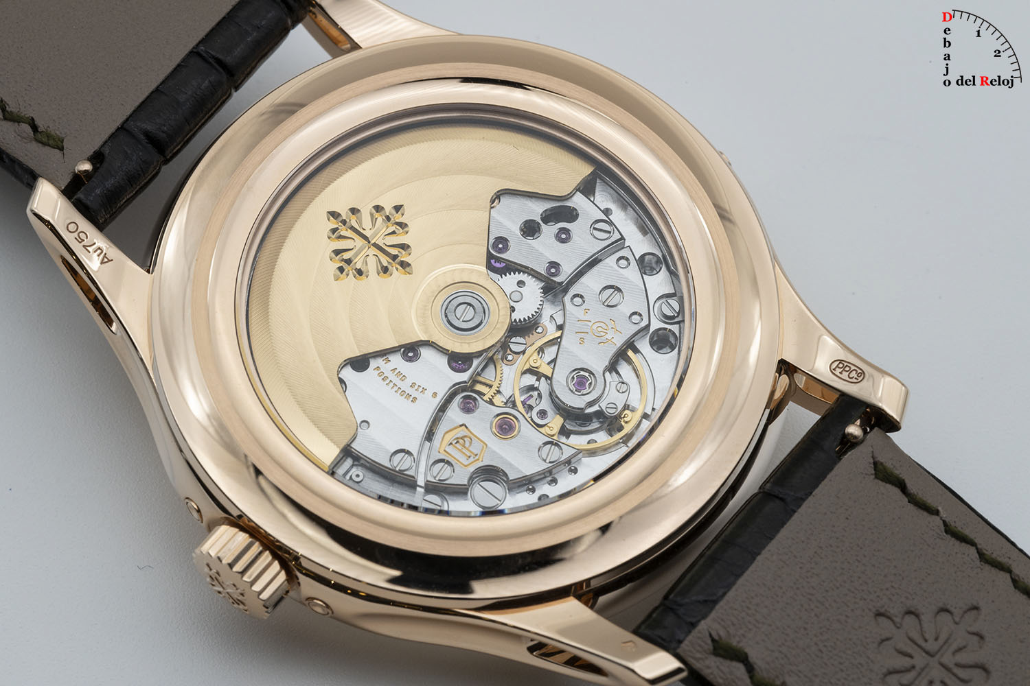 dario Anual Ref. 5205R back