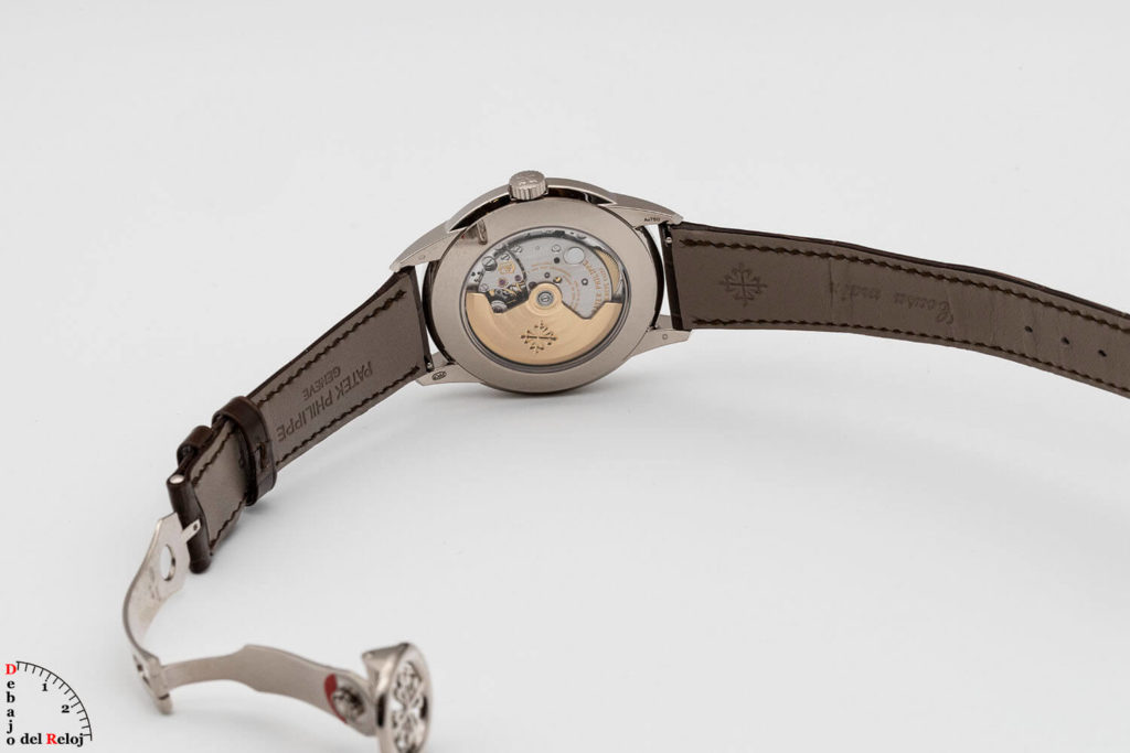 Patek Philippe Calendario Perpetuo 5320G-011 back2